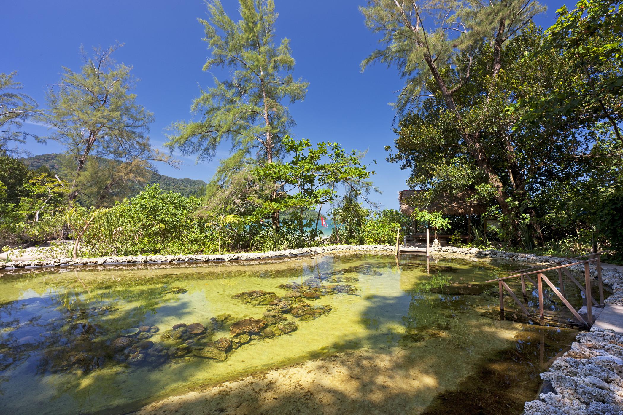The Andaman, A Luxury Collection Resort, Langkawi Exterior foto The river at the resort